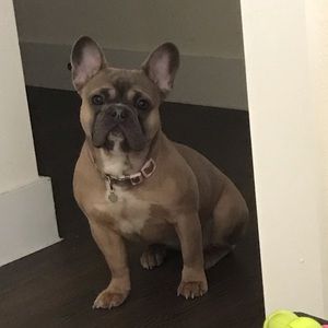 Meet your Posher, Adrian